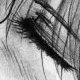 Dessin n°5