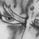 Dessin n°3