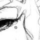 Dessin n°10