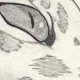 Dessin n°2